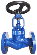 Globe Valve - SDNR with spring